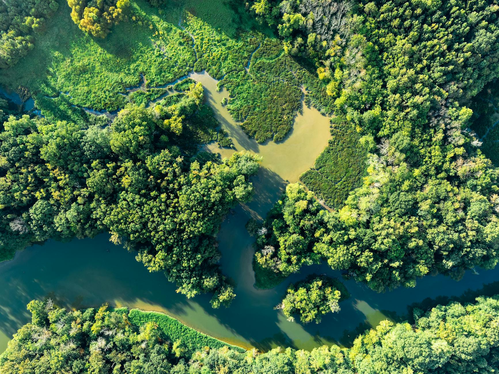 landscape nature water forest